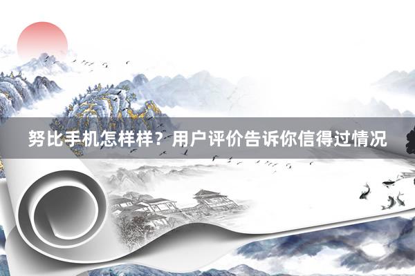 努比手机怎样样？用户评价告诉你信得过情况